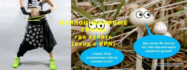 дурь Нягань