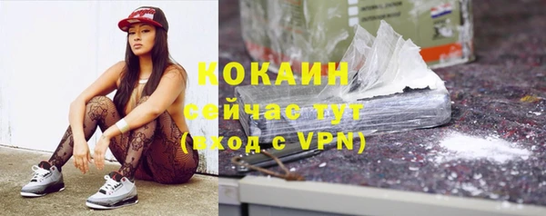 гидропоника Болотное