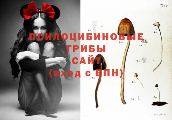 дурь Нягань